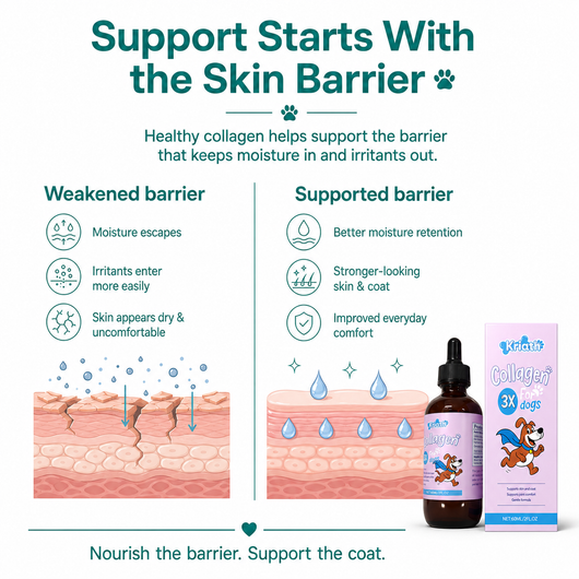 Renewal Collagen x3 Veterinary formula by Kriath