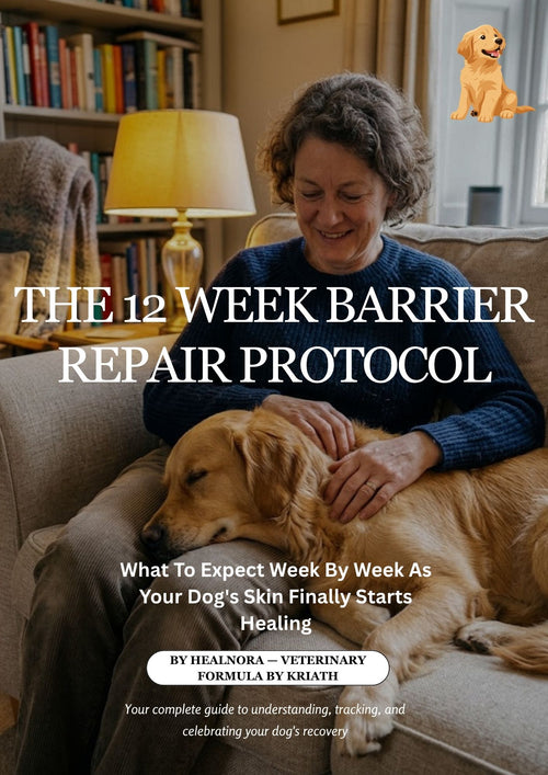 12-Week Barrier Repair Protocol (E-Book)— FREE BONUS