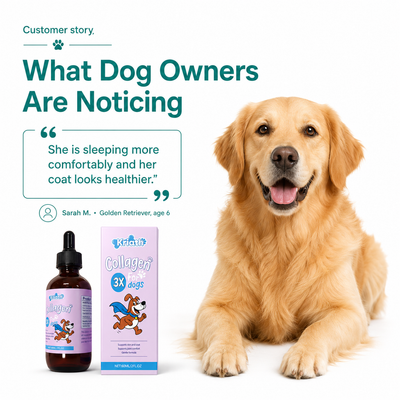 Renewal Collagen x3 Veterinary formula by Kriath