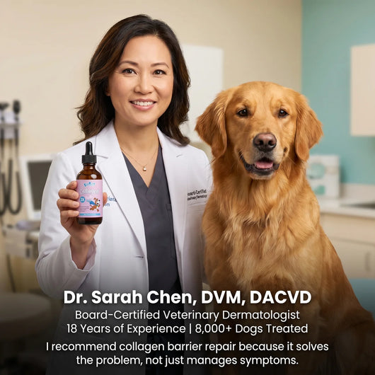 Renewal Collagen x3 Veterinary formula by Kriath